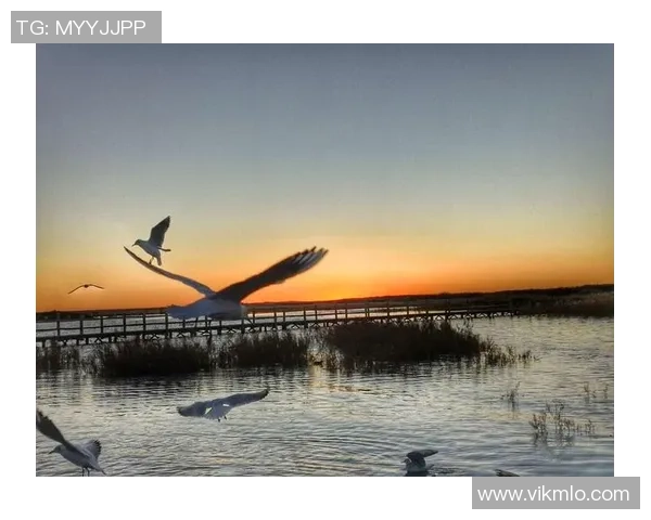 滑板人生的深度对话：王强与梦想的追逐与坚持