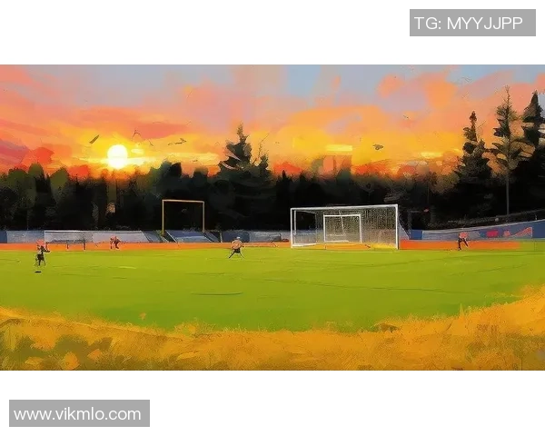 福的足球带你领略激情与梦想的绿茵场上无尽可能与友谊的力量